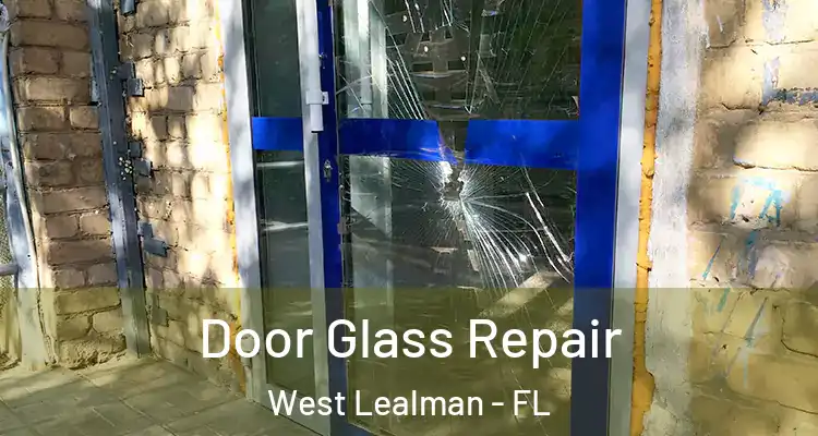  Door Glass Repair West Lealman - FL