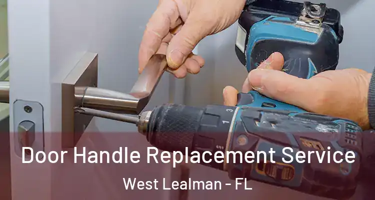  Door Handle Replacement Service West Lealman - FL
