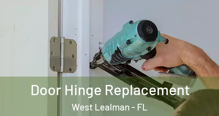  Door Hinge Replacement West Lealman - FL