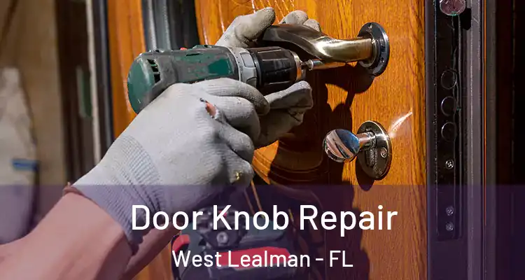  Door Knob Repair West Lealman - FL