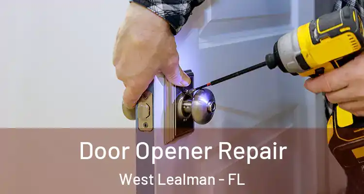  Door Opener Repair West Lealman - FL