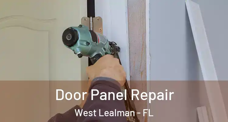  Door Panel Repair West Lealman - FL