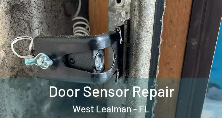  Door Sensor Repair West Lealman - FL