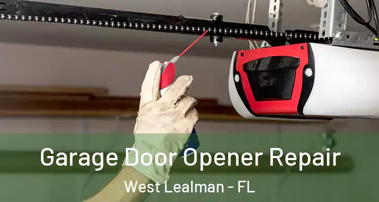  Garage Door Opener Repair West Lealman - FL