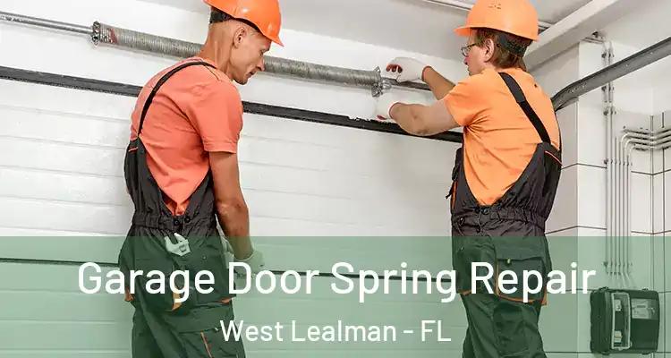  Garage Door Spring Repair West Lealman - FL