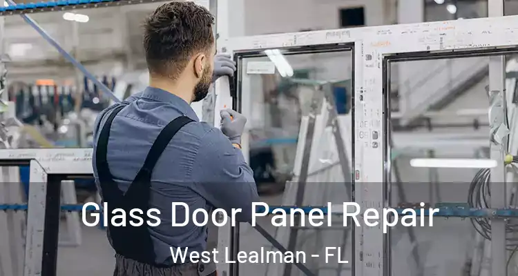  Glass Door Panel Repair West Lealman - FL