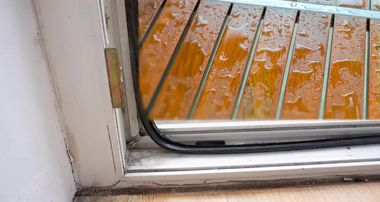 Water Leaking Wooden Patio Doors Repair in West Lealman, FL