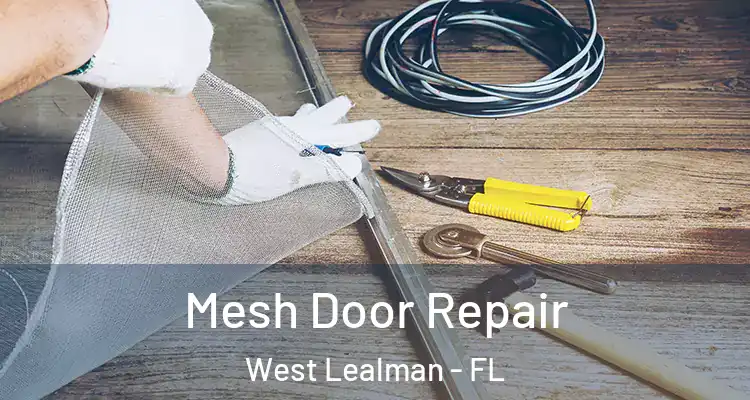  Mesh Door Repair West Lealman - FL