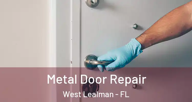  Metal Door Repair West Lealman - FL