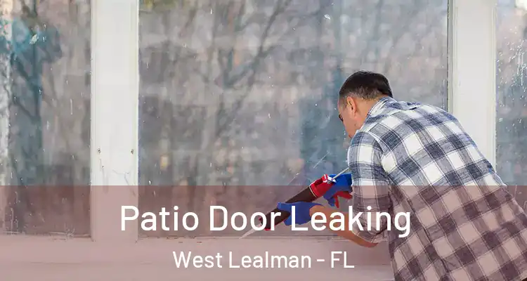  Patio Door Leaking West Lealman - FL