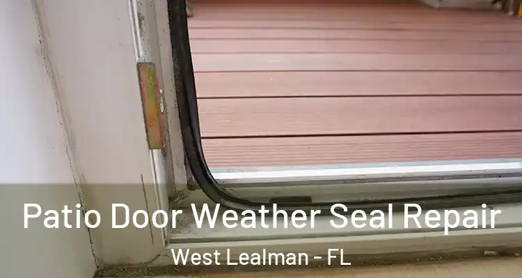  Patio Door Weather Seal Repair West Lealman - FL