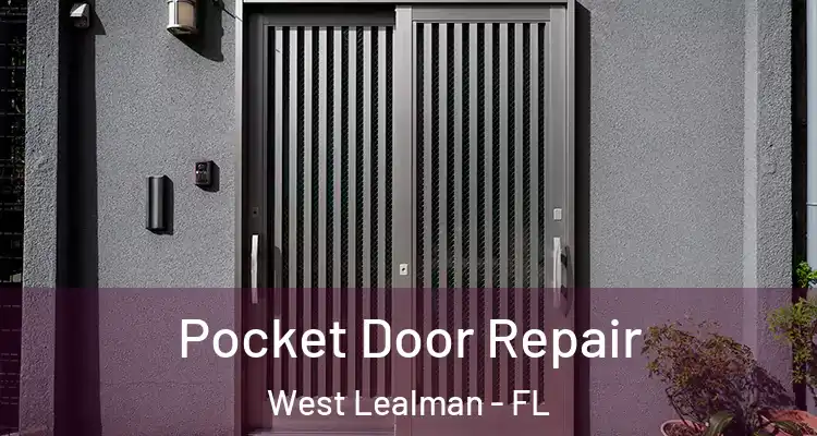 Pocket Door Repair West Lealman - FL