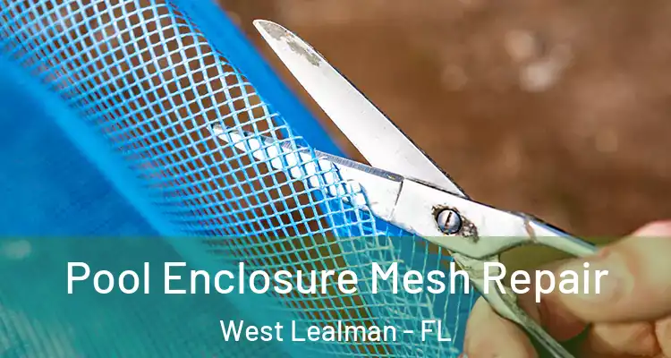  Pool Enclosure Mesh Repair West Lealman - FL
