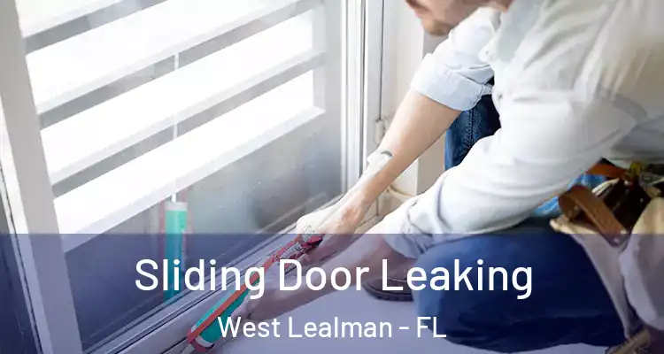  Sliding Door Leaking West Lealman - FL