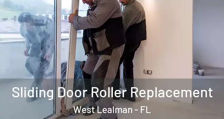  Sliding Door Roller Replacement West Lealman - FL