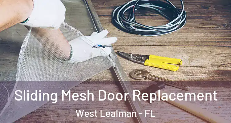  Sliding Mesh Door Replacement West Lealman - FL