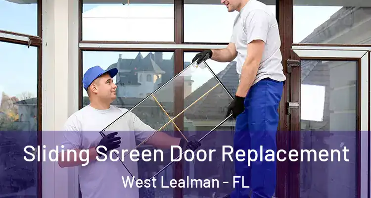  Sliding Screen Door Replacement West Lealman - FL